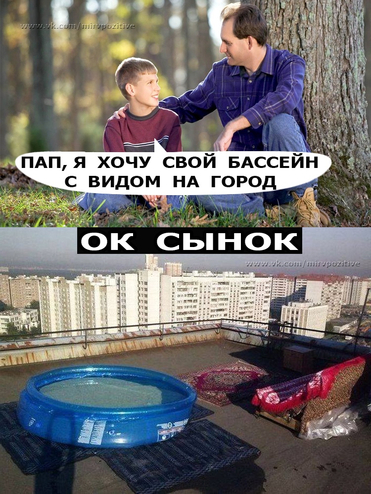 15076317.jpg