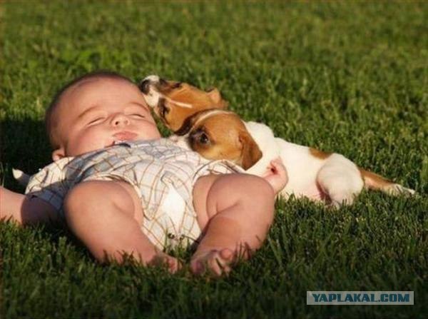 Вас здесь не лежало