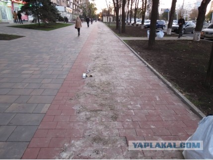Самокатчик врезался в депутата Гордумы и вице-мэра Краснодара