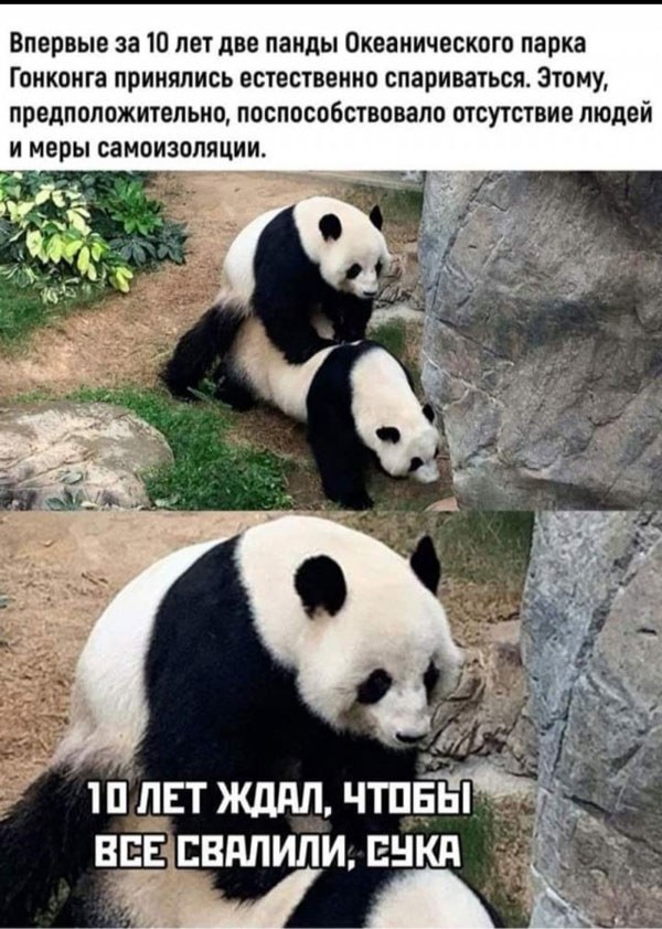Плоской планете - плоский юмор