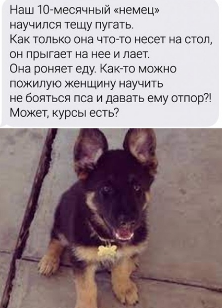 Картинки и мемы для настроения 19.08.2021