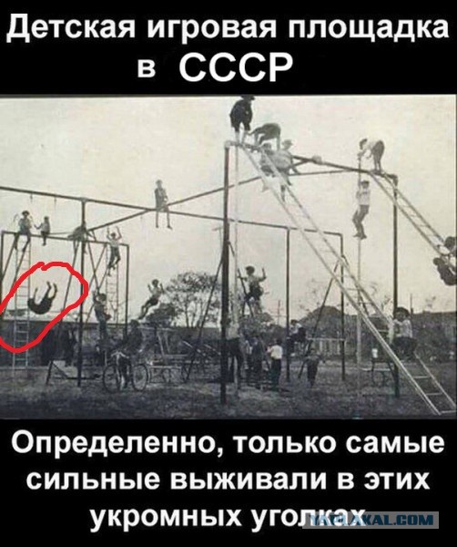 Так себе картинки 29.08.21