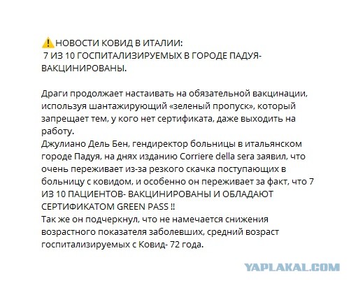 Субботнее утро в Австралии - люди отдыхают в парке, некоторые носом в асфальт