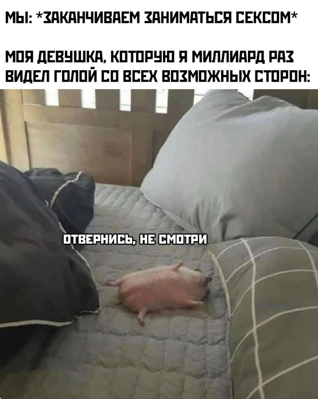 Баянисто-небаянистый юмор 4.11.21