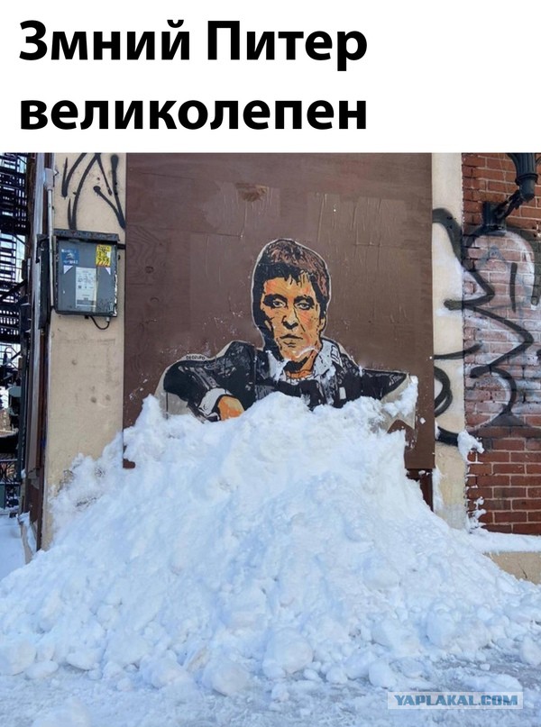 Человек собаке друг и другие картинки и мемы  под настроение