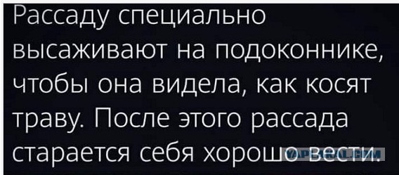 40 картинок разных 31.03.2022