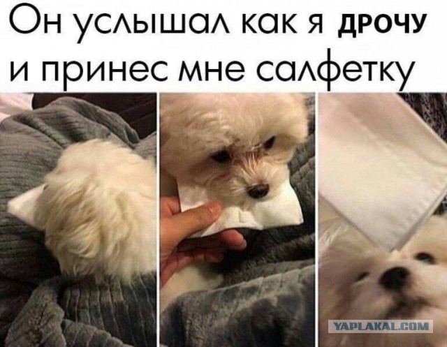 Картинки аморальные и всякие разные - 27