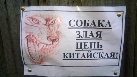 Пятница. Вечер. Картинки всякие #10