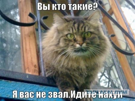 Как приносят повестки в частный сектор?