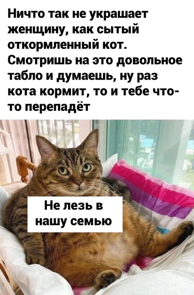 Деградация лайт 13.10.2022
