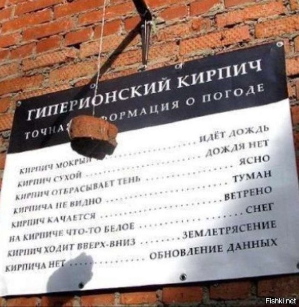 Еловый барометр