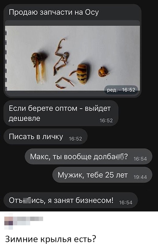 Весёлый полтишок 30.11.22