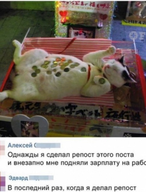 Извините. Деньги очень нужны