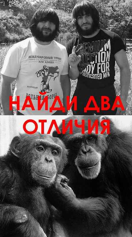 Дагестанская свадьба в Ставропольском крае.