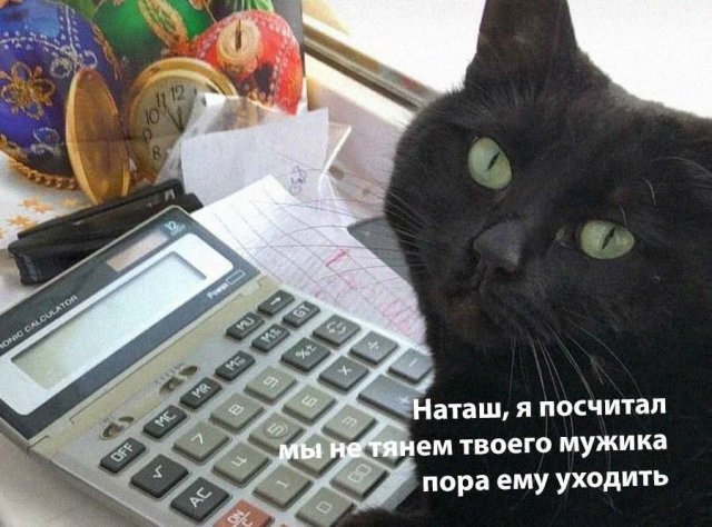 Немного картинок для настроения - 137