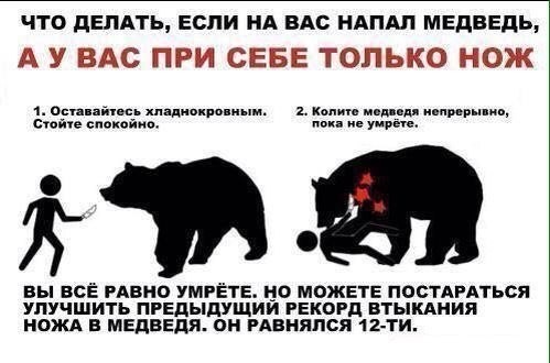 Хочешь утром вылезти из палатки, а там... медведь