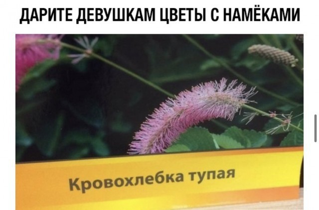 Картинок пост 1.11.2023