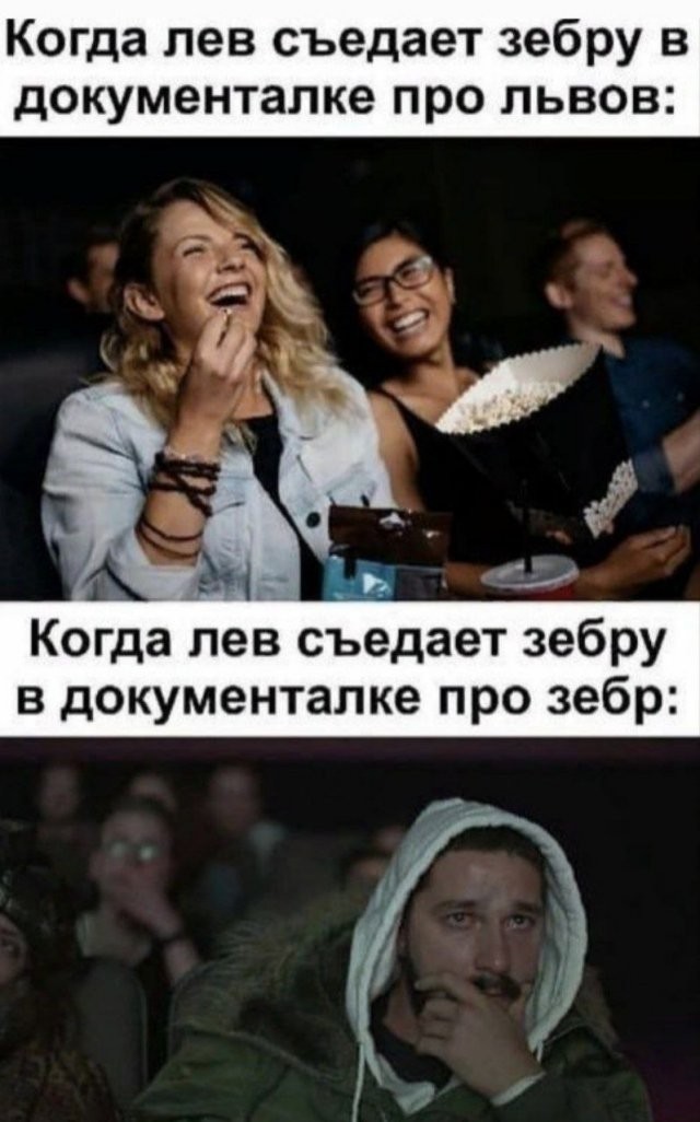 Погоня за зайцем, снятая с коптера