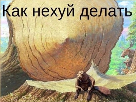 Боянчики на пятницу