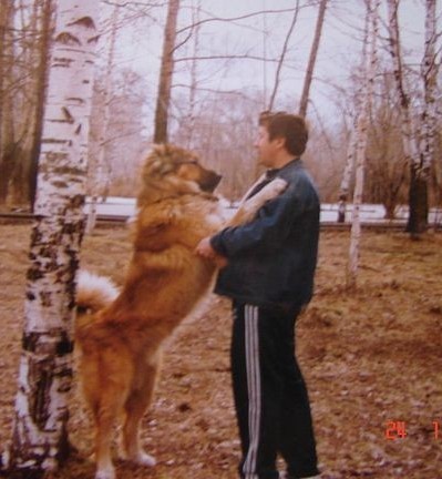 Он не кусается!