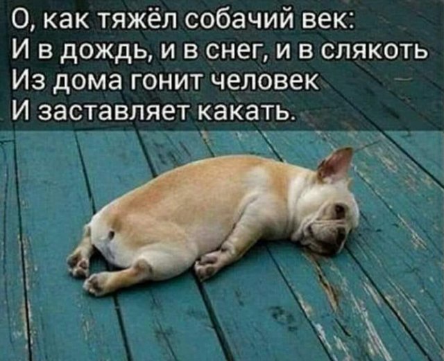 Я сдался
