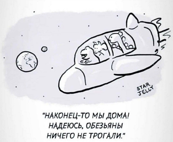 Немного забавных картинок от 13.10.2024