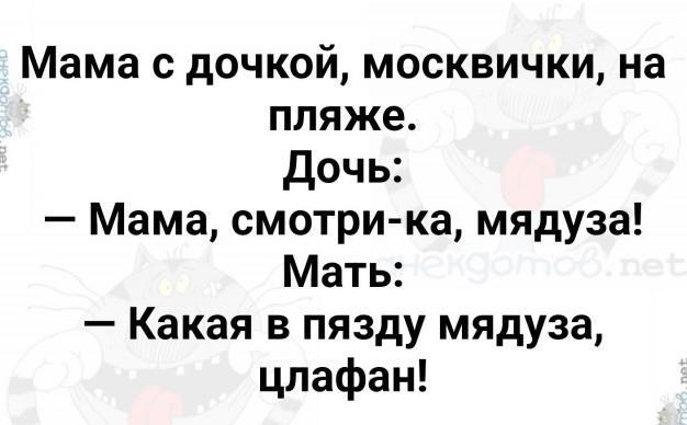 Так себе картинки 29.03.25