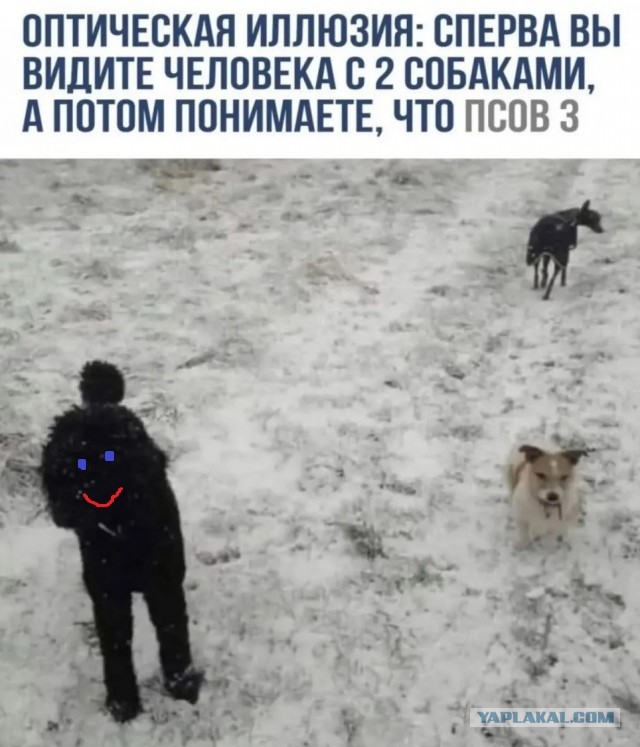Завалялось тут случайно немного забавных картинок