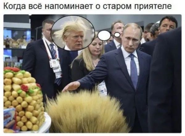 Путин и Трамп завершили телефонный разговор и договорились о встрече в Будапеште