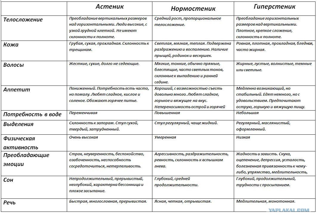 Что значит конституция человека. Типы телосложения астеник.нормостеник.гиперстеник. Типы Конституции тела человека таблица. Нормостеник характеристика телосложения. Характеристика астеника нормостеника гиперстеника.