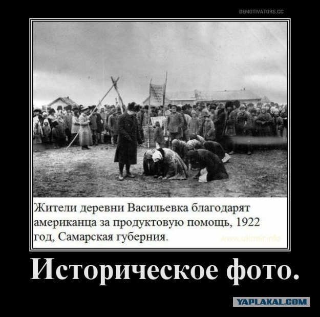 В Алтайском крае, Пензенской и Новосибирской областях и других регионах у российских фермеров изымают тысячи коров и других животных под предлогом борьбы с пастереллезом и бешенством