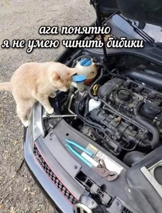 Картиночки, баянчики 04 апреля