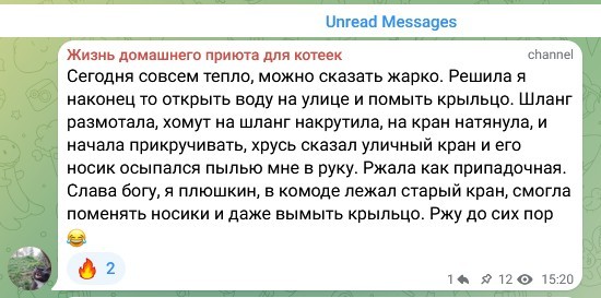 Жизнь домашнего приюта для котеек 576