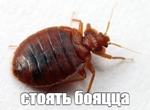 На Тверском бульваре появились бесплатные зоны отдыха с лежаками