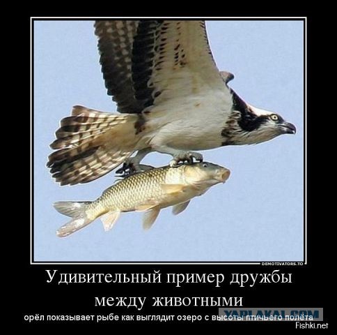 Поддержка и взаимовыручка