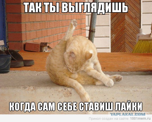вопрос - предложение