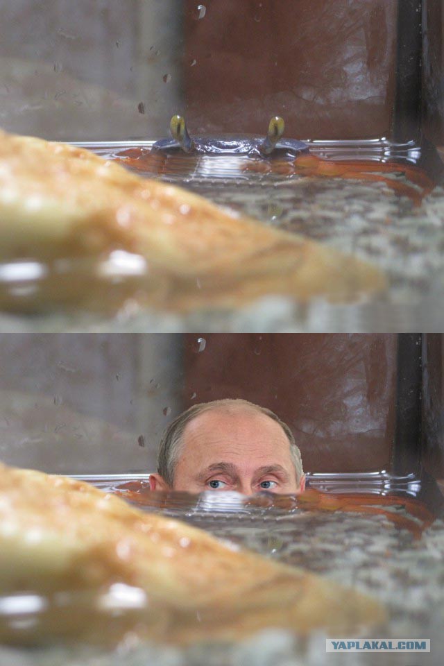 Новое жильё владимира владимировича