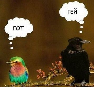 Капля позитива
