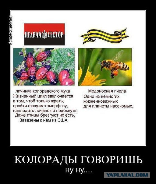 Приглашение принесли