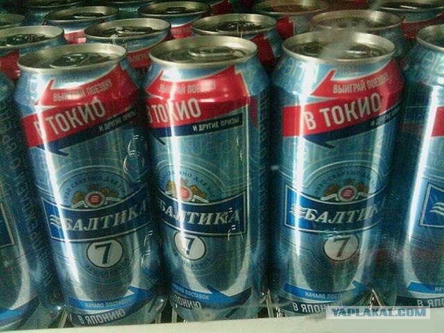 Блондинками бывают не только женщины