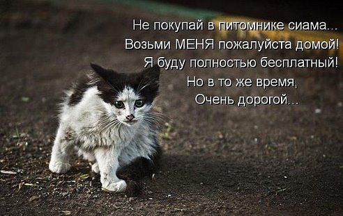 Улыбнуло часть "2"