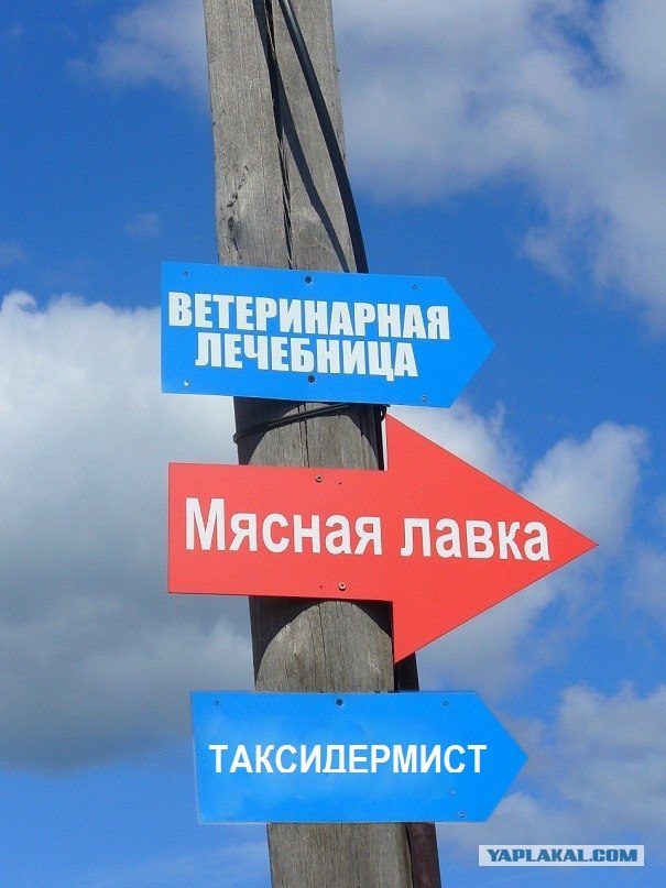 Приходите к нам лечиться...