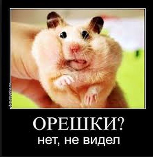 Смешные картинки, добавляйте свои!