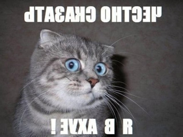 Бесплатная платная медицина бл...