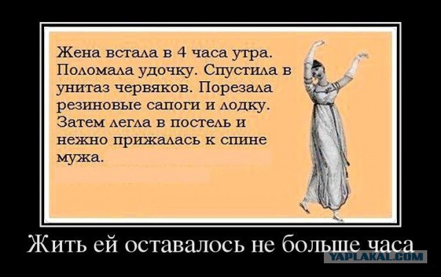 Веселые картинки