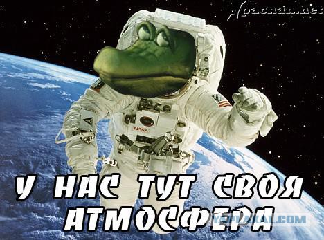 Мой кот покатился по наклонной