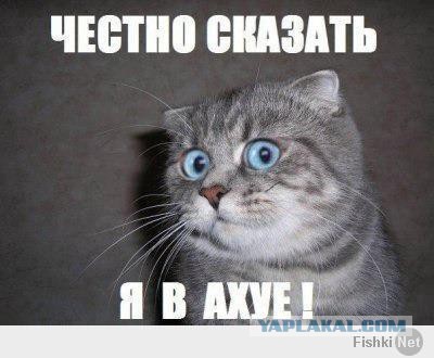До чего мы катимся. Чему мы учим детей