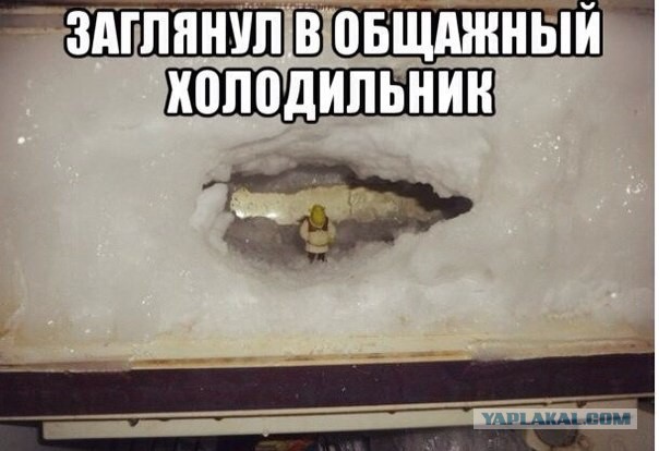Картинки из инета