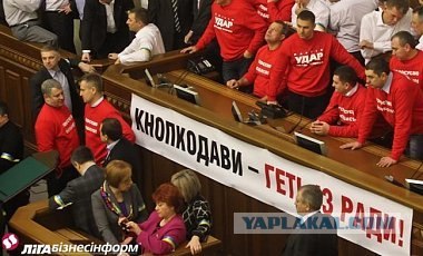 Кнопкодавы