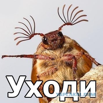 Курс доллара в ближайшее время. Часть 2.